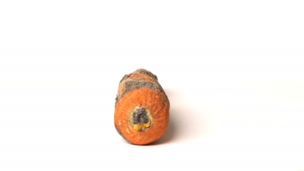 Cenoura podre em um fundo branco
 - Filmagem, Vídeo