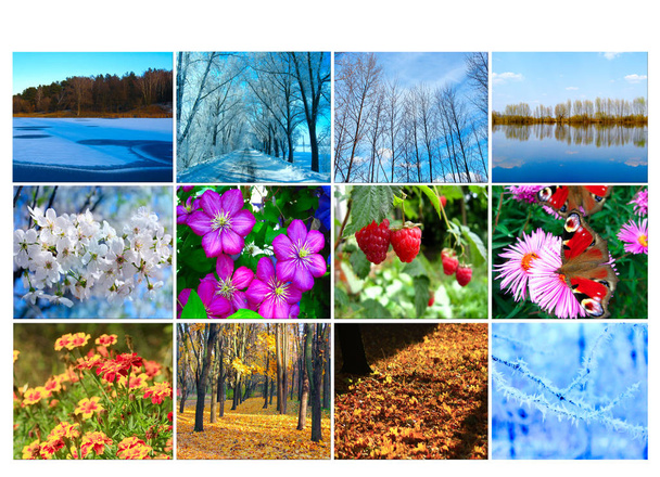 blanc avec douze images colorées de la nature pour calendrier
 - Photo, image