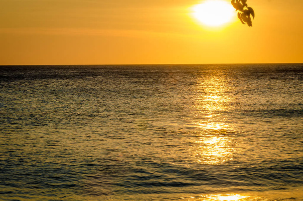 Пляж заходу сонця у Карибському острові Кюрасао - Фото, зображення