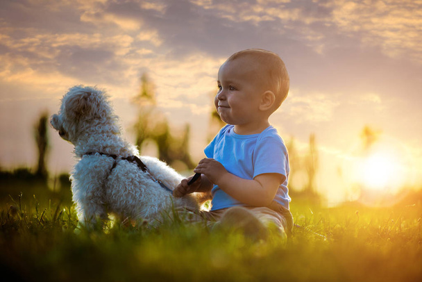 Šťastné dítě se psem - Fotografie, Obrázek