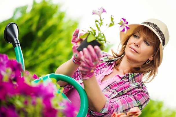 Садівництво в домашніх умовах
 - Фото, зображення