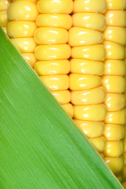 maïs close-up - Foto, afbeelding
