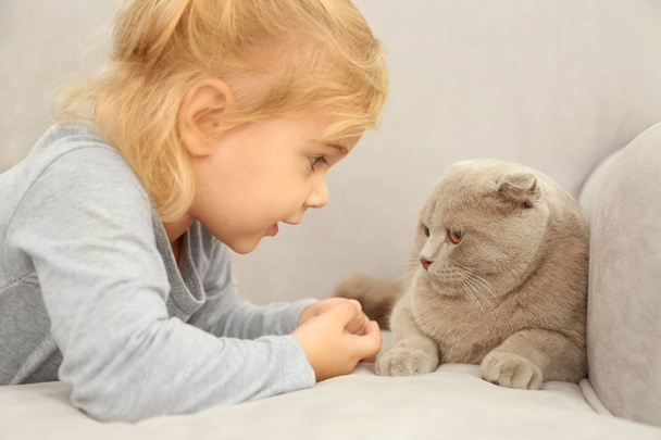 little girl with cute cat - Photo, image