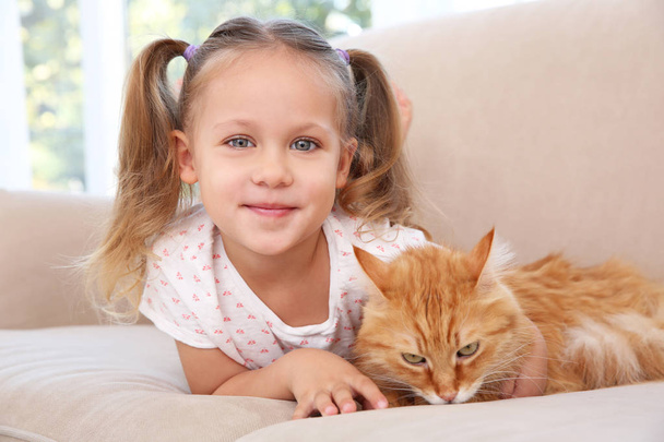 Cute little girl with red cat - Foto, imagen