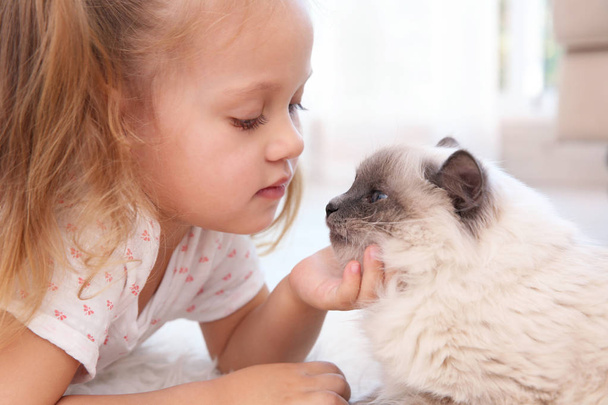 Sevimli küçük kız ile kabarık kedi - Fotoğraf, Görsel