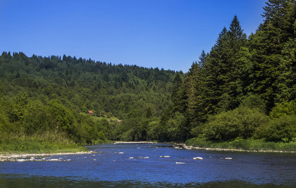 river at the Carpathian forest - Foto, imagen