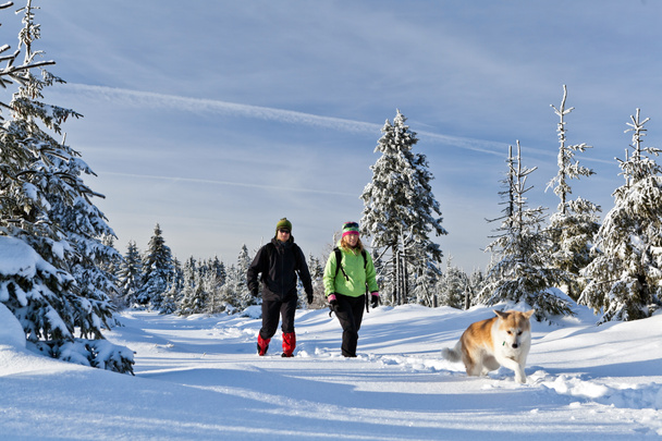 ζευγάρι πεζοπορία με σκύλο στα βουνά του χειμώνα - Φωτογραφία, εικόνα