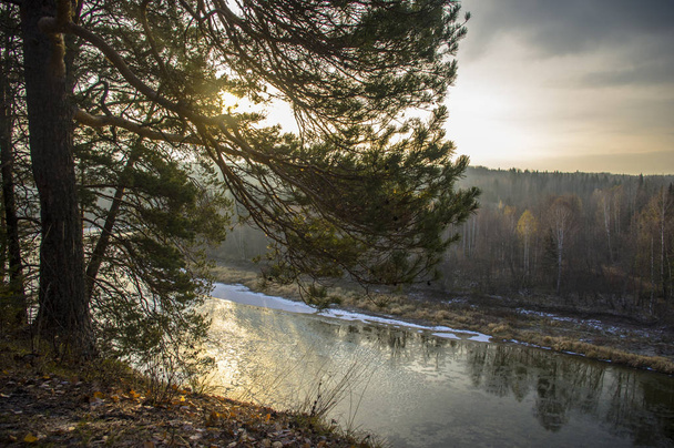 frosty autumn morning on the river - Φωτογραφία, εικόνα