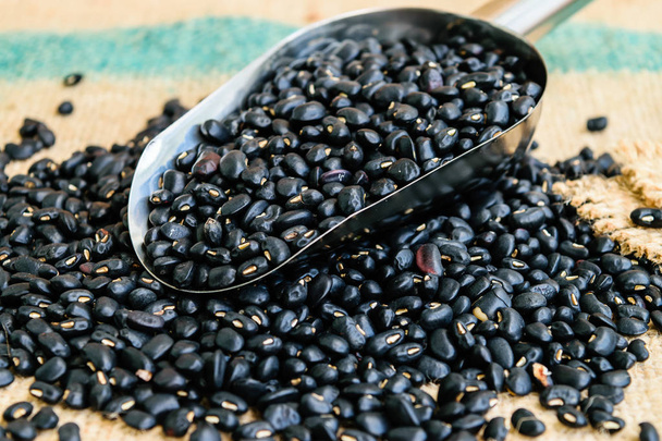 černé fazole semena - Fotografie, Obrázek