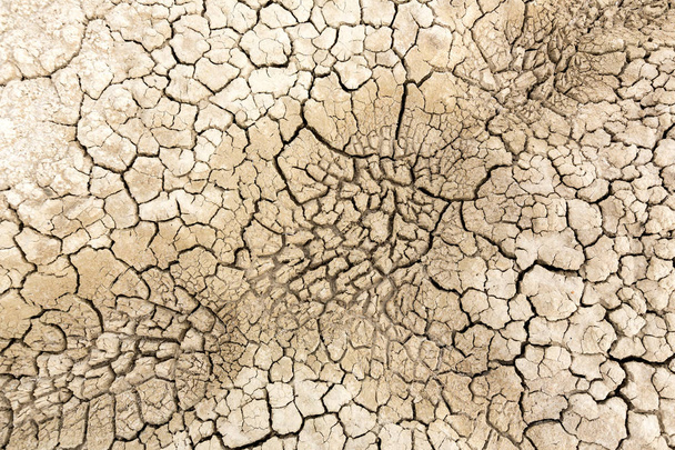 Kuru ve kırık kumlu toprak  - Fotoğraf, Görsel