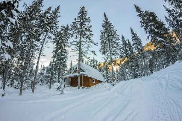 Cabin house chalets in winter forest with snow - Fotoğraf, Görsel