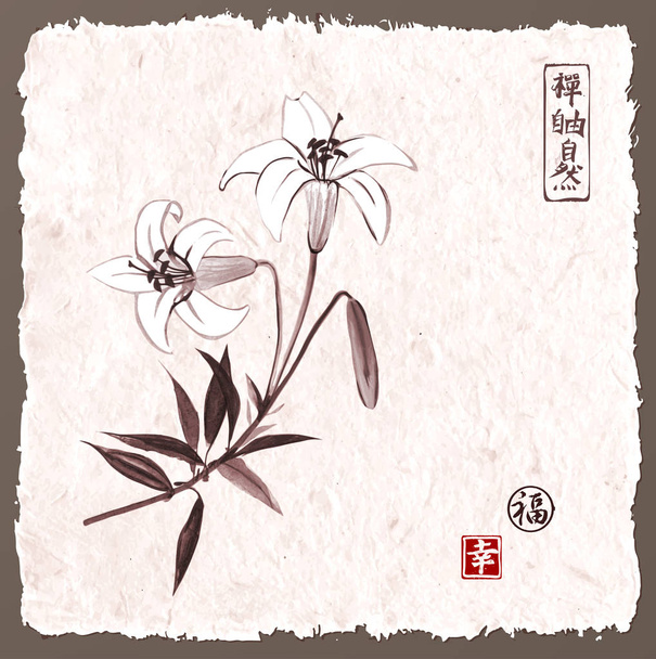 traditional oriental lily flowers - Vector, Imagen
