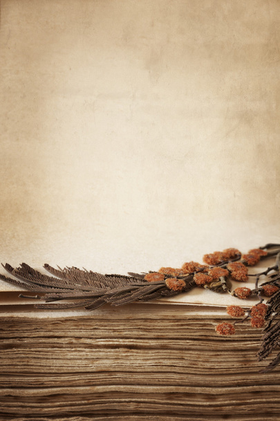 Flores prensadas en libro antiguo
 - Foto, Imagen