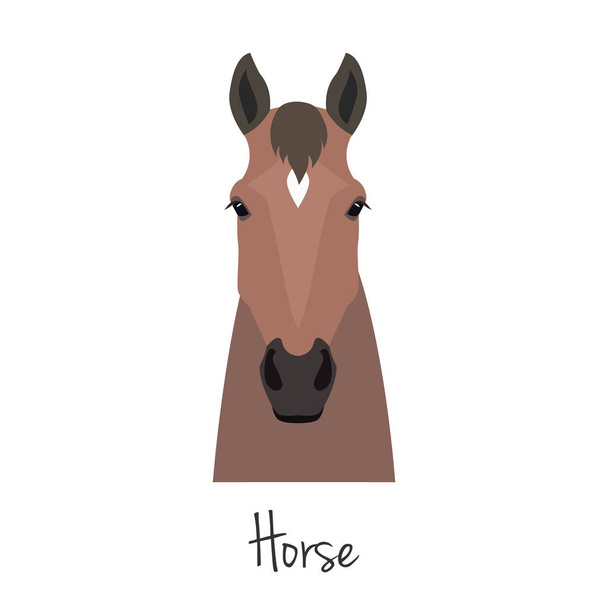 Vector brown horse head isolated. Flat, cartoon style object - Vector, Image