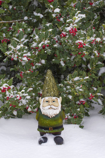 Zimní Gnome stojící před Holly Tree na sněhu - Fotografie, Obrázek