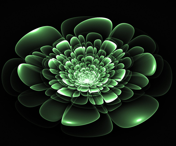 Fleur fractale en vert
 - Photo, image