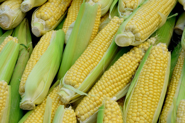 świeża kukurydza na rynku  - Zdjęcie, obraz