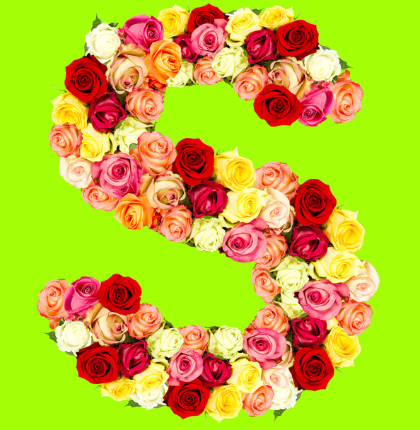 S, roses flower alphabet - Photo, image