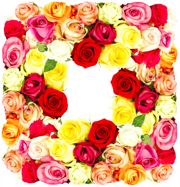 barevné květy rám - Fotografie, Obrázek