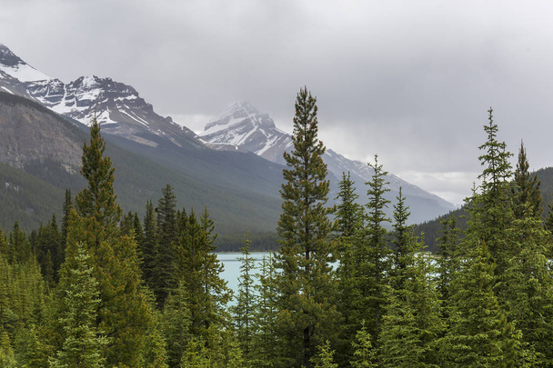 felsigen Bergen und borealen Wäldern - Jaspis Nationalpark, Kanada - Foto, Bild