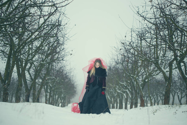 girl in a red veil on the snow in the winter - Photo, Image