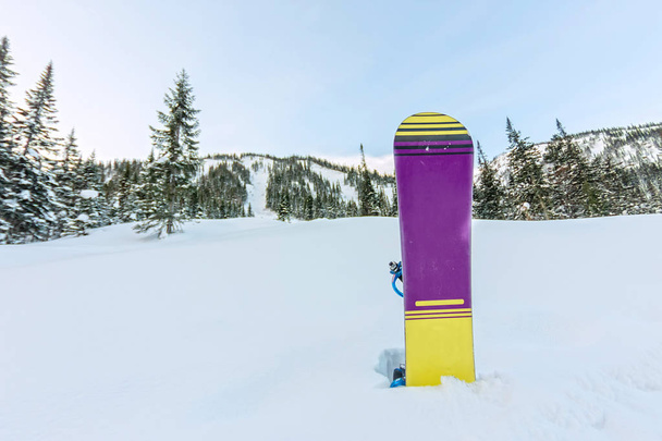 Snowboard standing in snow in mountains on road frirayd - Фото, изображение