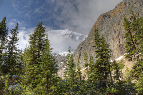 Βουνών το πρώιμο καλοκαίρι - εθνικό πάρκο Jasper, Καναδάς - Φωτογραφία, εικόνα