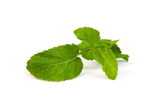 mint leaves on white background - Foto, immagini