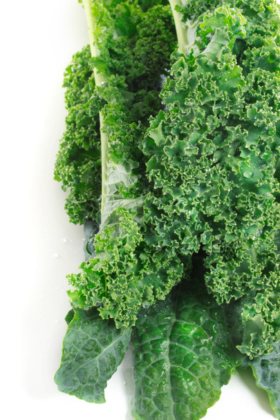 Kale on white background - Фото, зображення