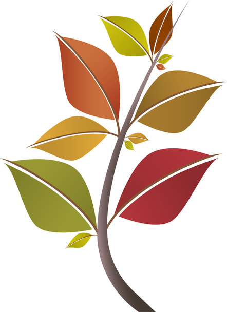 Branch of autumn leaves - Vector, Image