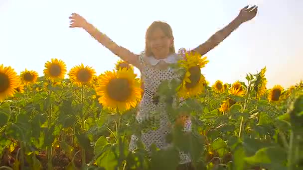 Altın ayçiçeği tarlasında oynayan mutlu kız güneşin sarı çiçek dolu bir alanda oynayan genç kız. - Video, Çekim