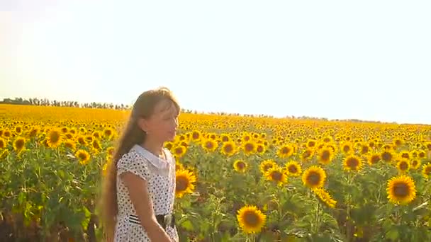 Gelukkig tiener meisje lopen in een veld van gele zonnebloemen, Gouden bloem zonnebloem zwieren in de wind. - Video