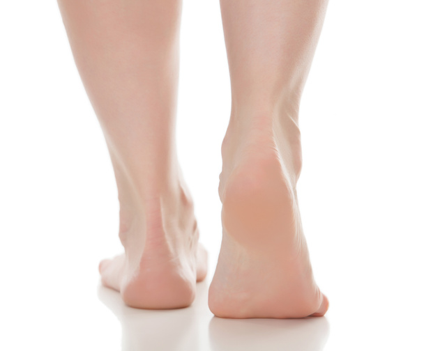 Female feet isolated on white background - Photo, image