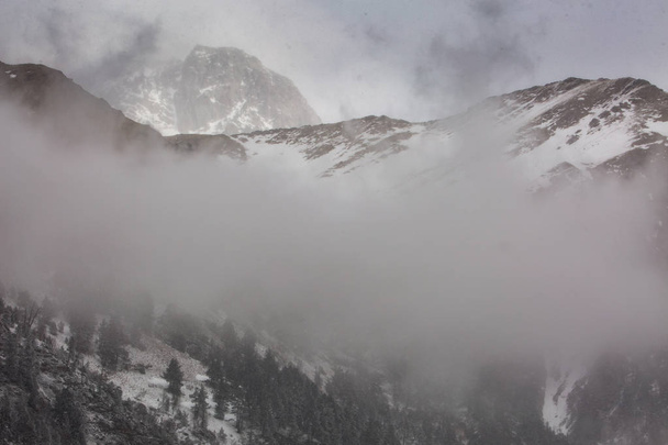 dağ manzarası ve huş ağacı çam ormanı ile kış. - Fotoğraf, Görsel