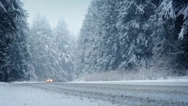 Samochodem przez las w śnieżycy - Materiał filmowy, wideo