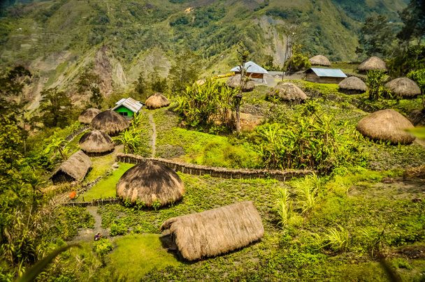 Χωριό κοντά σε Wamena - Φωτογραφία, εικόνα