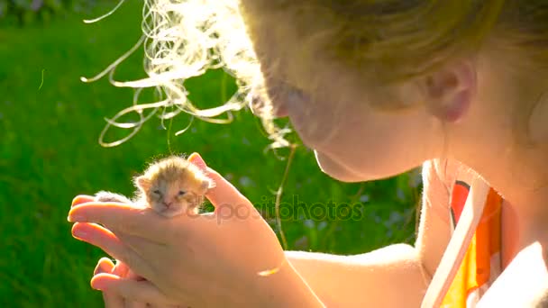 Mujer joven toma en sus manos gatito recién nacido
 - Imágenes, Vídeo