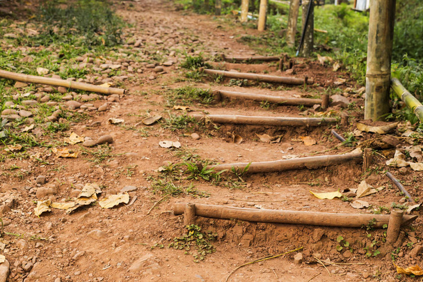 Escaliers du sol et du bambou. L'application du modèle rural
 - Photo, image