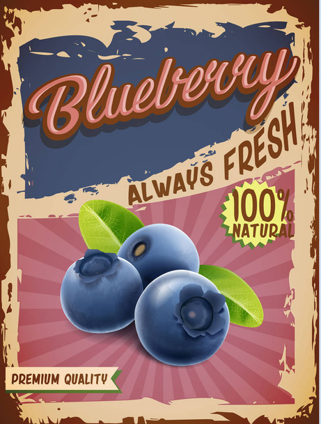 blueberry vintage banner - Vektor, kép