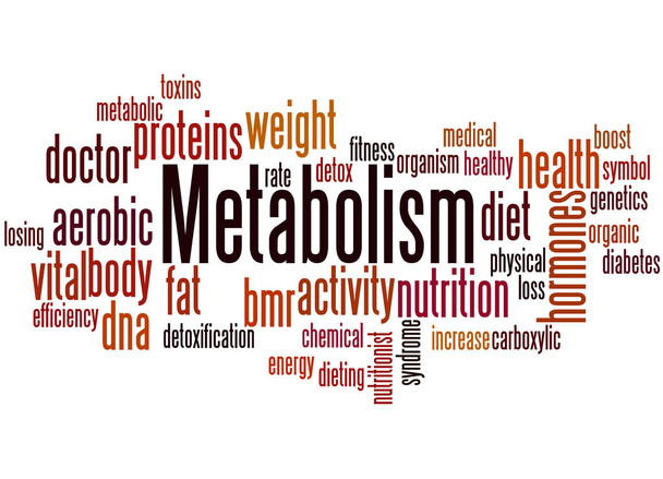 Metabolism, word cloud concept - Photo, Image