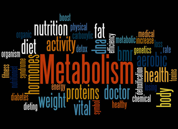 Metabolism, word cloud concept 4 - Photo, Image