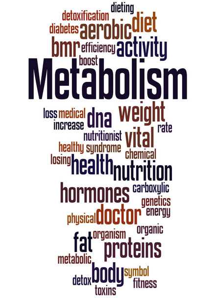 Metabolismus, slovo cloud koncepce 6 - Fotografie, Obrázek