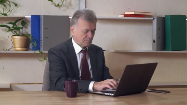 Empresario de mediana edad usando PC en el trabajo
 - Metraje, vídeo