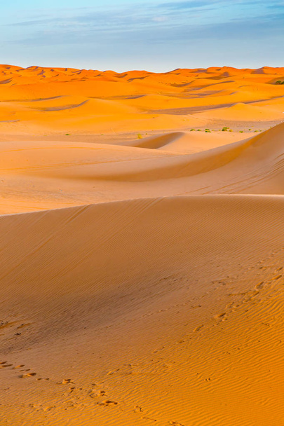 Sand dunes of the Sahara desert, Morocco - 写真・画像