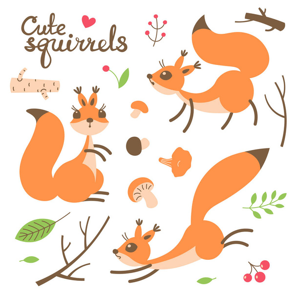 Cartoon cute squirrel. Little funny squirrels. Vector illustration - Vector, Image