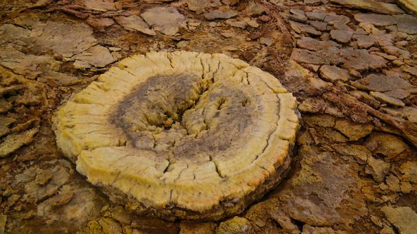 Salzstruktur Nahaufnahme dallol vulkanischer Krater danakil, ferne, Äthiopien - Foto, Bild