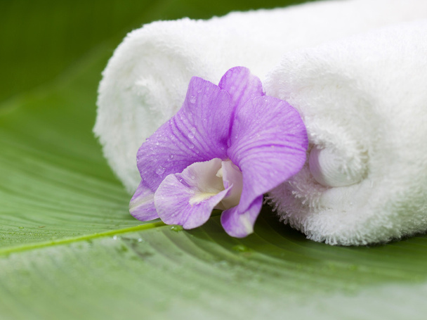 Spa still life with orchid on banana leave - Foto, afbeelding