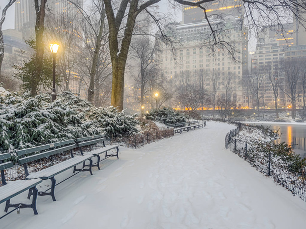 セントラル ・ パーク、ニューヨーク市の雪の嵐 - 写真・画像