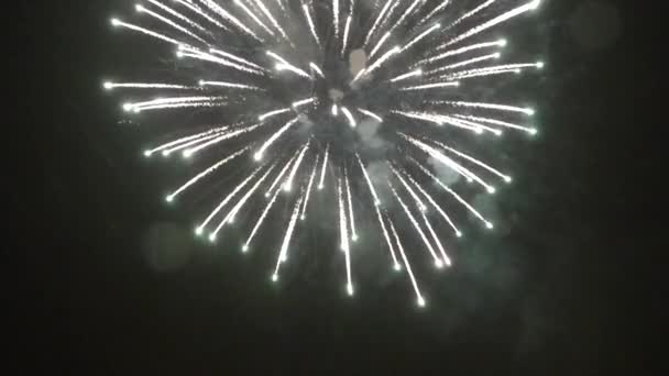 Los fuegos artificiales de Año Nuevo en el cielo nocturno - Imágenes, Vídeo