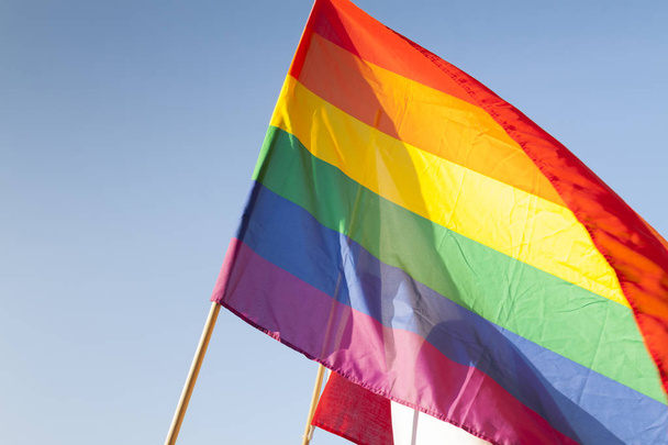Gay Pride Flag - Fotografie, Obrázek